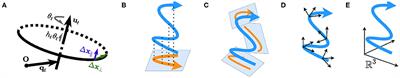 A Plane-Dependent Model of 3D Grid Cells for Representing Both 2D and 3D Spaces Under Various Navigation Modes